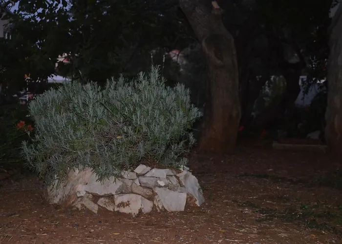 아파트 Apartmants Bubalo 트르파니